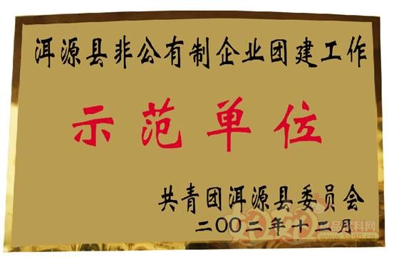 云南大理洱宝-洱源县非公有制企业团建工作示范单位