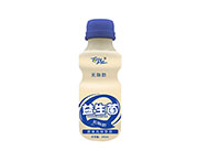 益生菌无脂肪原味风味饮料340ml